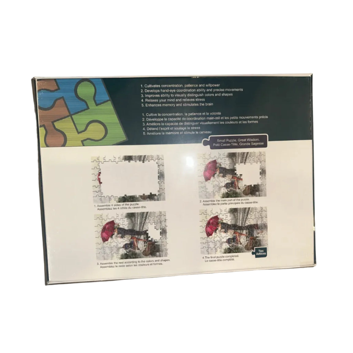 Train Lovers puzzle reverse with assembly instructions