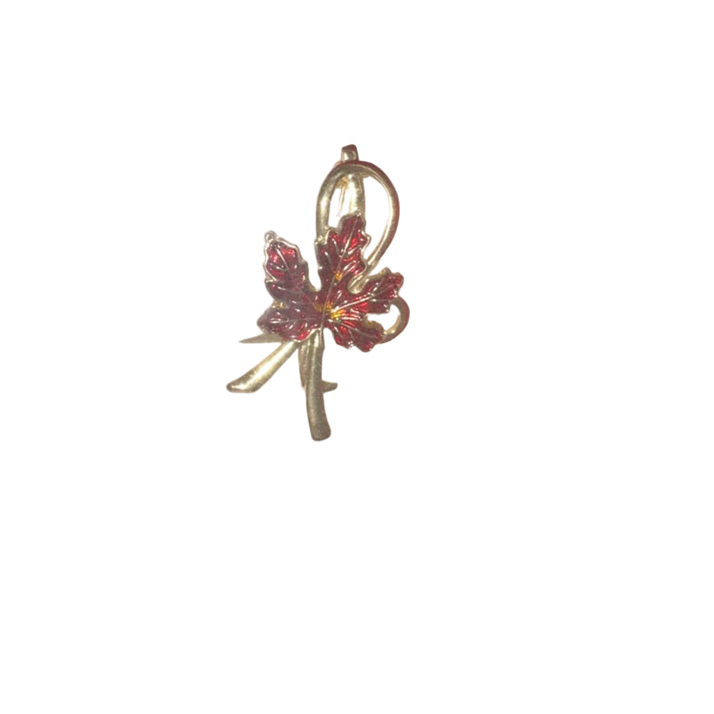 Gold-Tone Decorative Brooch – Assorted Designs in Gift Box