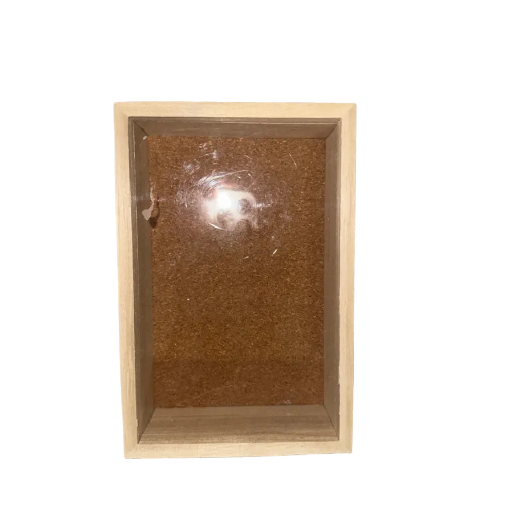 Open-side view unfinished wooden box with clear lid